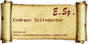 Endresz Szilveszter névjegykártya